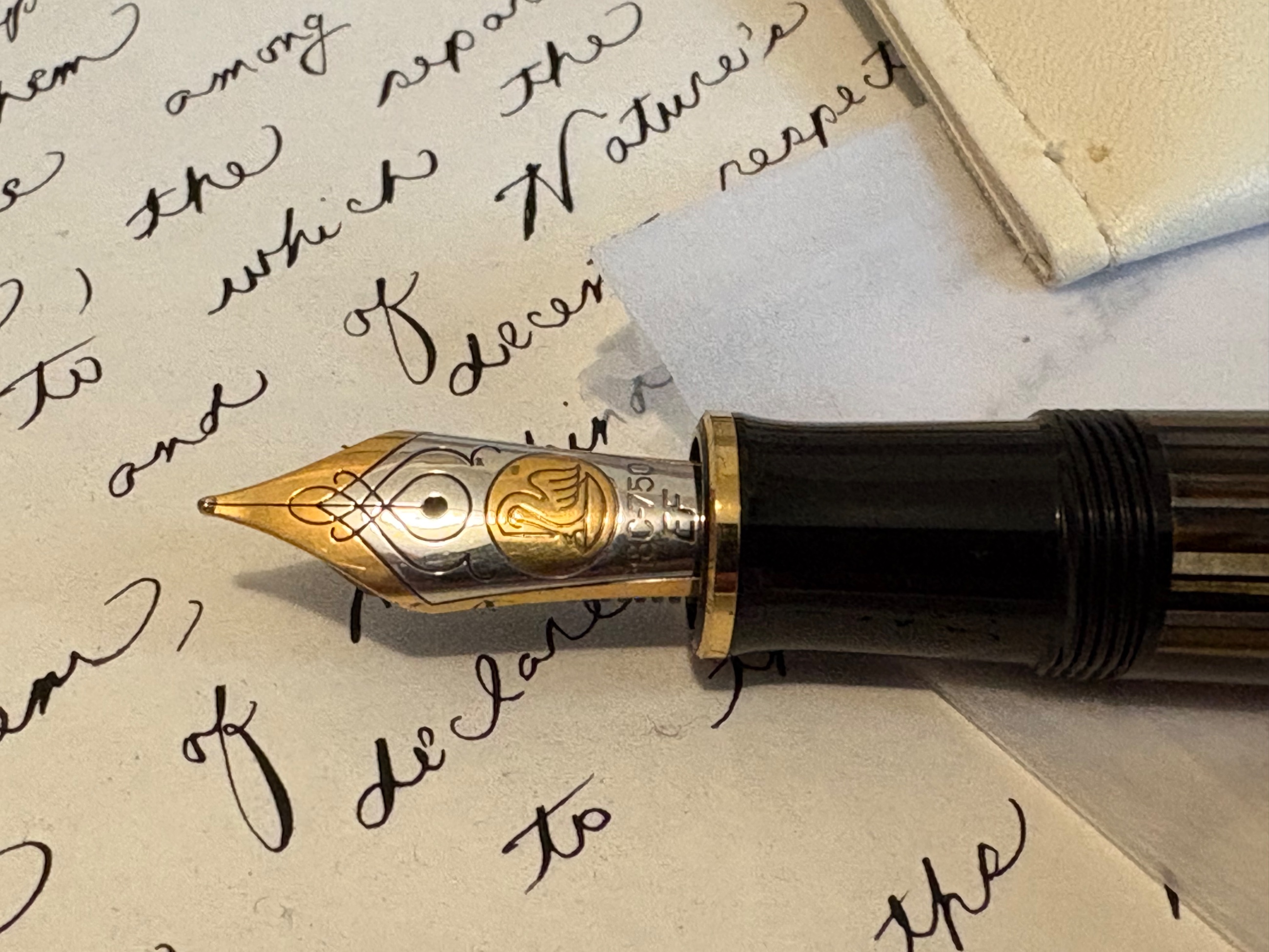 Pelikan — Souverän M800 — Extra Fine nib — fountain pen for sale on Nibfolio — photo 2